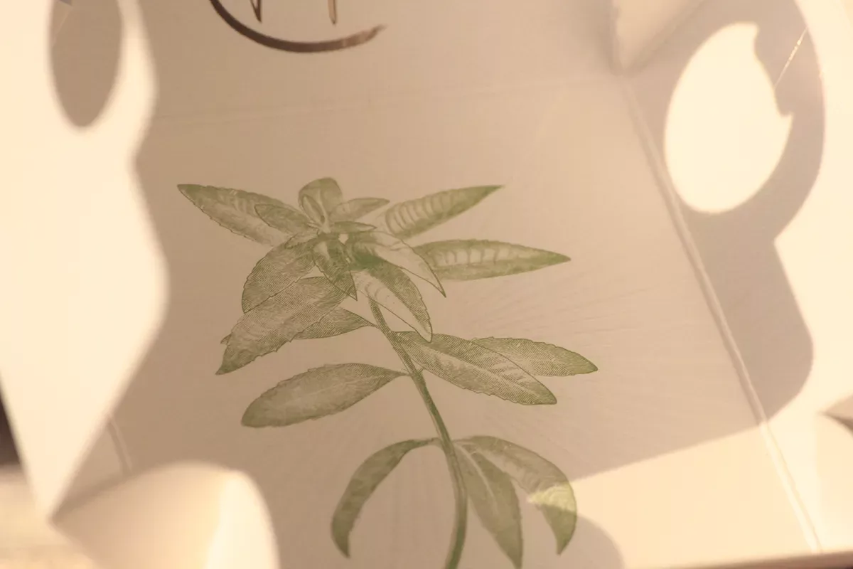 Embellissement étui Cosmethics